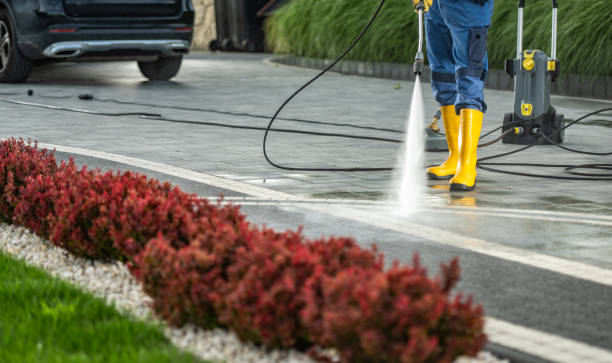 Best Soft Washing  in Belle Mead, NJ